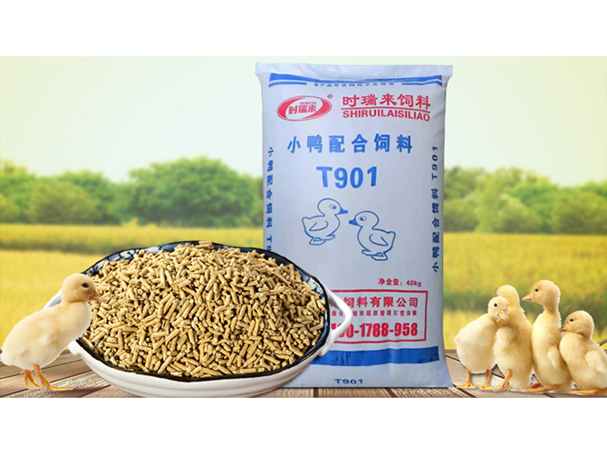 小鴨配合飼料T901